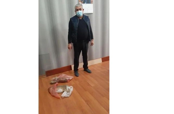 Tovuzda qanunsuz ov edən şəxs saxlanılıb