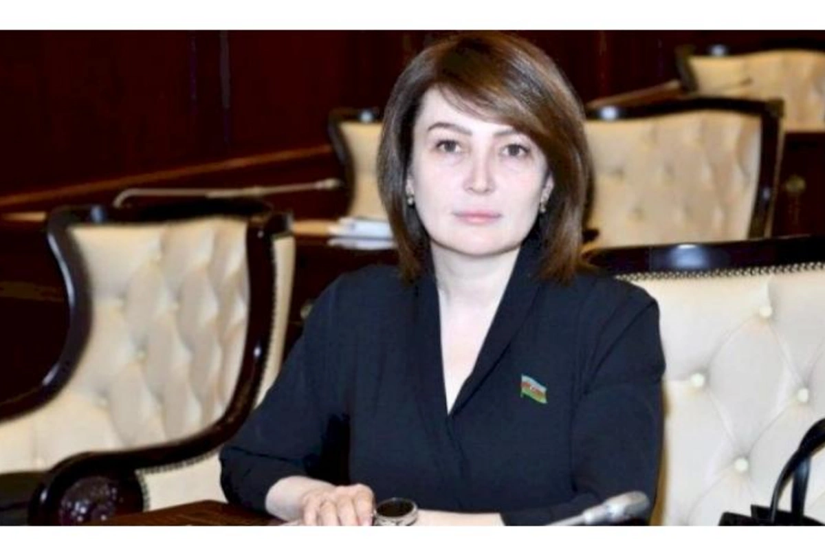 Feminist mövzusunda fikrim sərt, radikaldır — Deputat