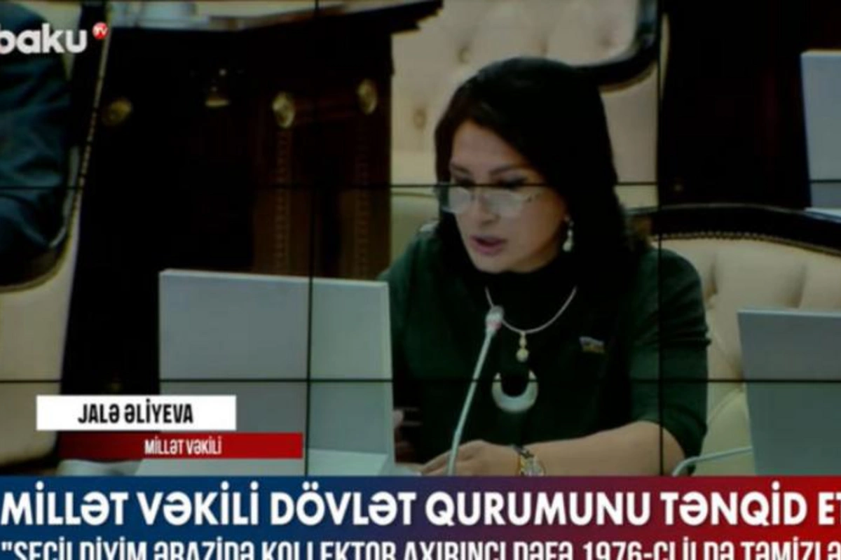 Deputat dövlət qurumunu tənqid etdi — VİDEO
