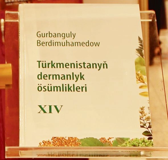 Keçmiş türkmənbaşı özünə yeni sənət tapıb — FOTO