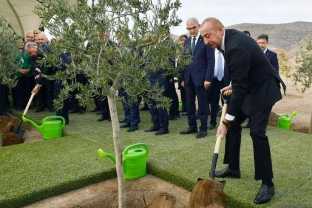 İlham Əliyev və Rəcəb Tayyib Ərdoğan Cəbrayılda ağac əkiblər — YENİLƏNİB (FOTO)
