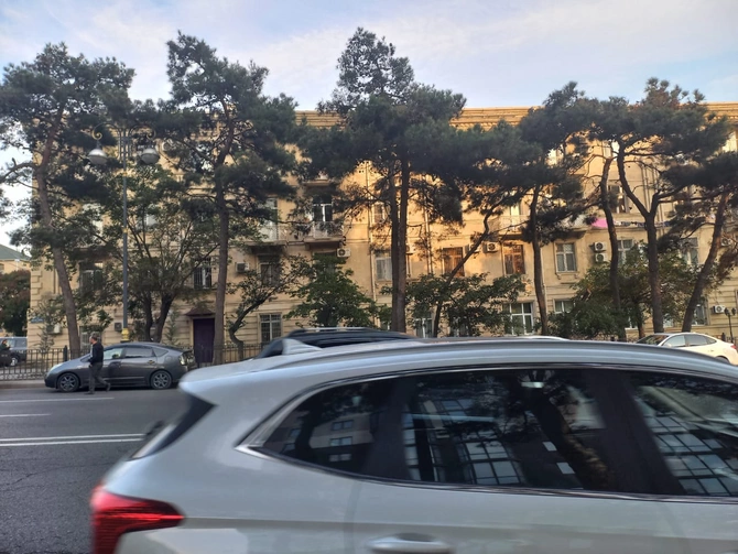 Bakıda yaşıl soyqırım: Nazirliyin binası qarşısında ağacları kəsdilər — FOTO/VİDEO