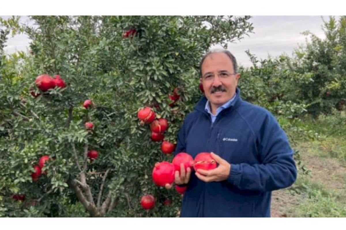 Türkiyəli diplomat Azərbaycan narından yazdı