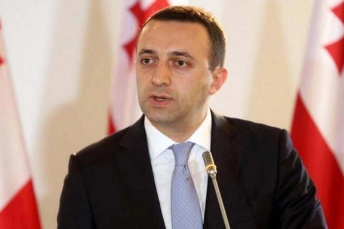 “Gürcü arzusu”nun lideri Prezidenti dövlət əleyhinə fəaliyyətdə ittiham edib