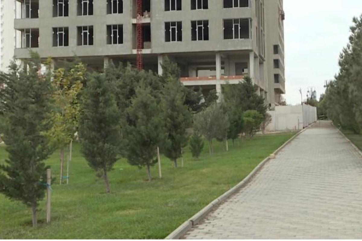 Bakıda parkdakı ağacları yandırıb içində göydələn tikdilər — VİDEO