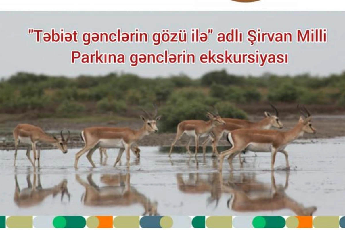 Salyanda “Təbiət Gənclərin gözü ilə” devizi altında səyahət təşkil edilib — FOTOLAR