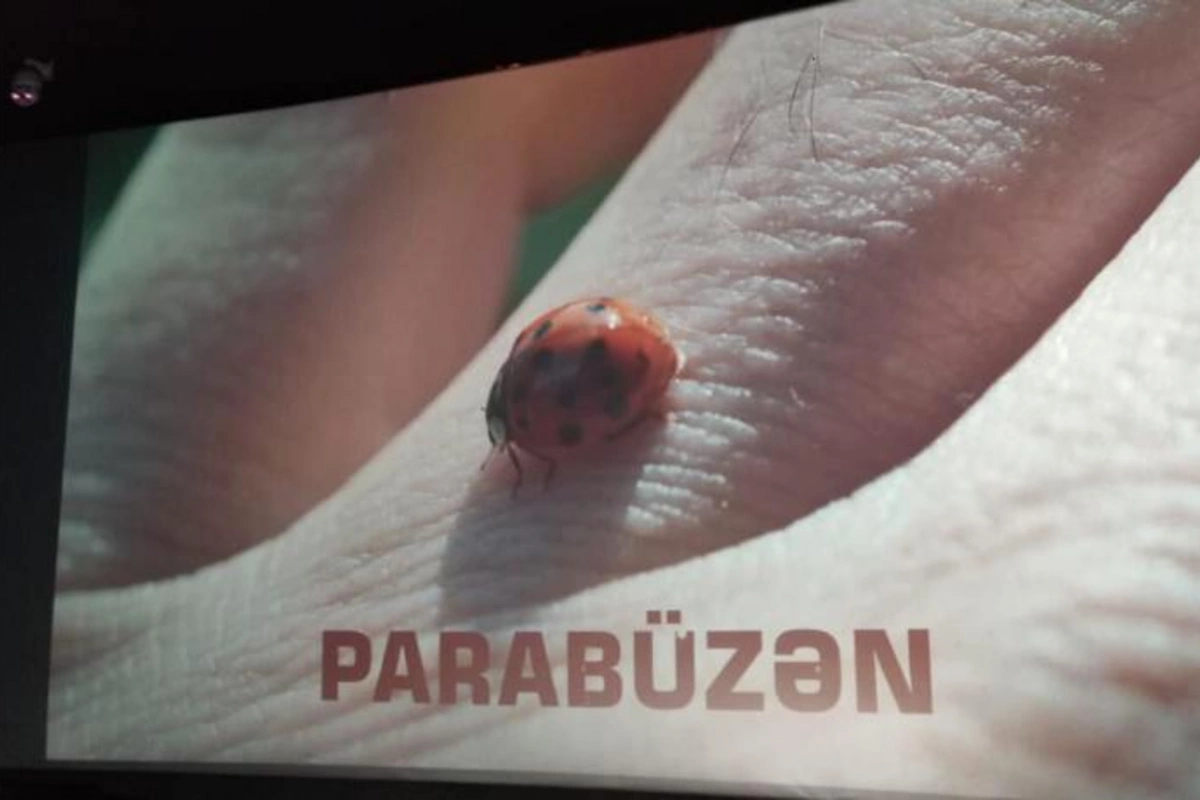 Parabüzən filminin təqdimat mərasimi keçirilib — FOTO