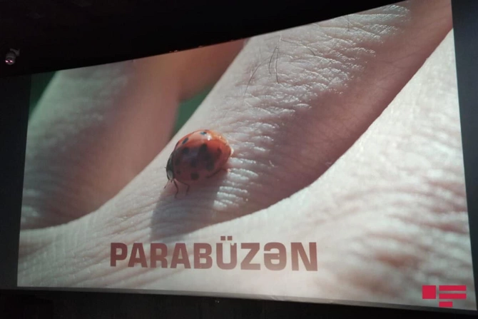 Parabüzən filminin təqdimat mərasimi keçirilib — FOTO