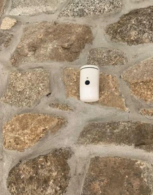 Günlük kirayələdikləri evdən elə şey tapdılar ki... — Hamı diqqətli olsun/FOTO