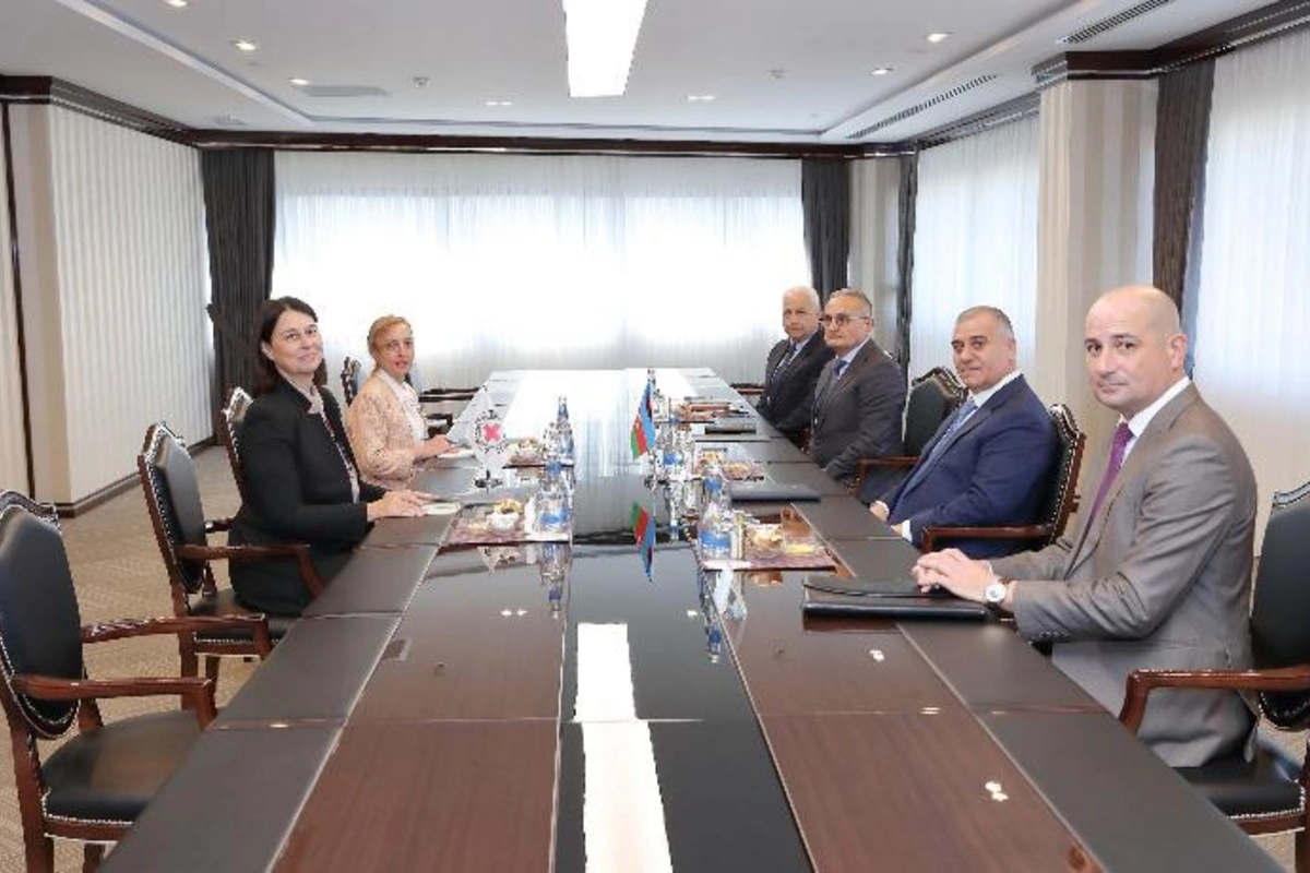 DTX rəisi Beynəlxalq Qızıl Xaç Komitəsinin ölkəmizdəki nümayəndəsi ilə görüşüb