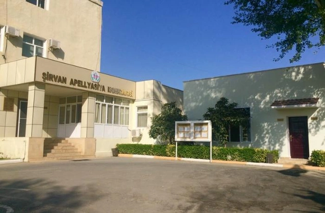 Qanuna qalib gələn hakim: narkoticarətdə ittiham olunan adama necə bəraət verildi?