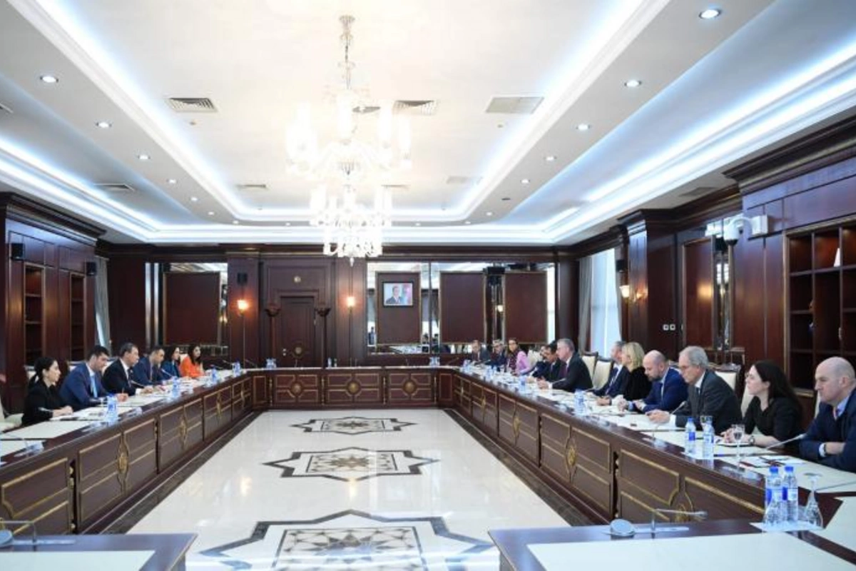 Deputatlar xüsusi elçi ilə görüşdülər