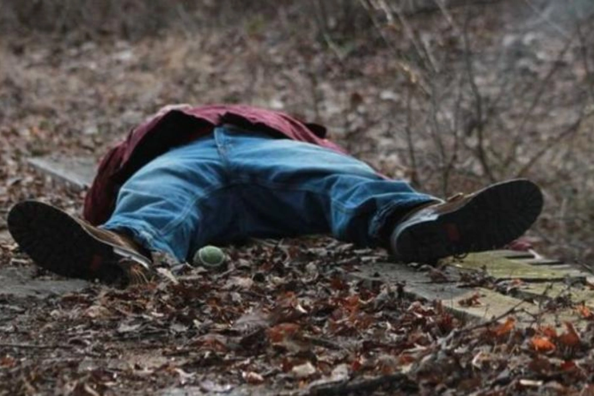 Azərbaycanda dəhşət: Vəhşi heyvanlar kişini parçaladı