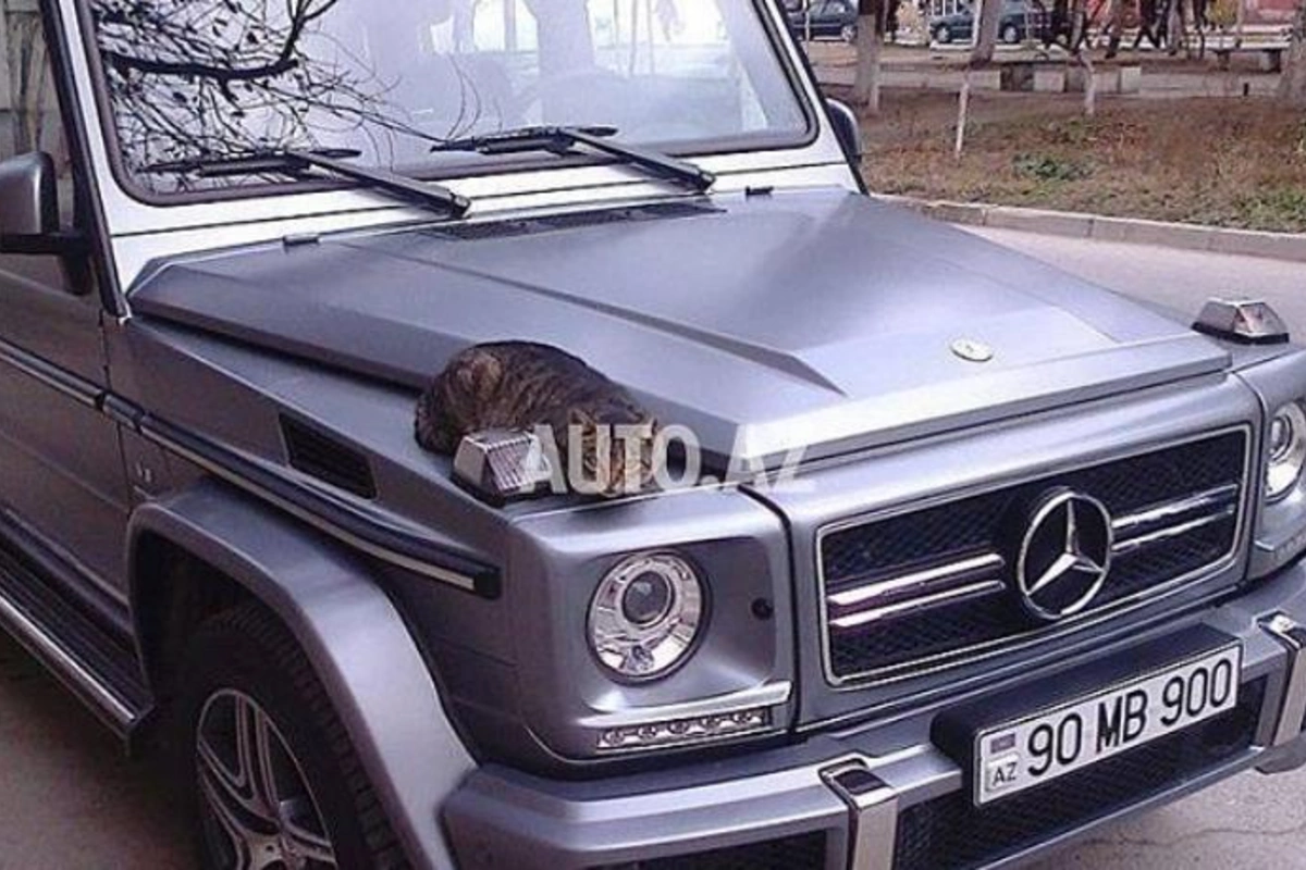 Bakıda 410 minə “Galendewagen” satan şəxsin başına iş gəldi — FOTO