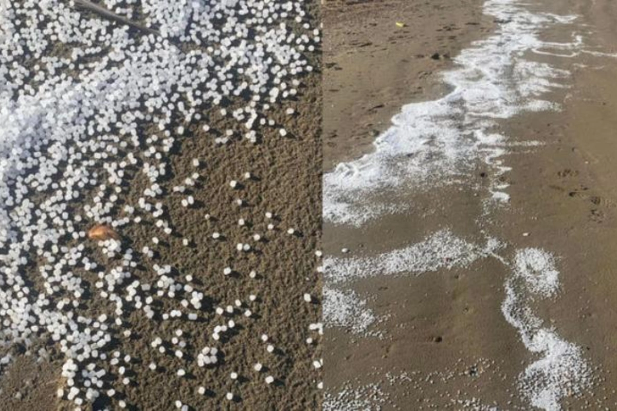 Xəzərin sahilinə plastik qranulları kim “səpələyib”? — YENİLƏNİB (FOTO)