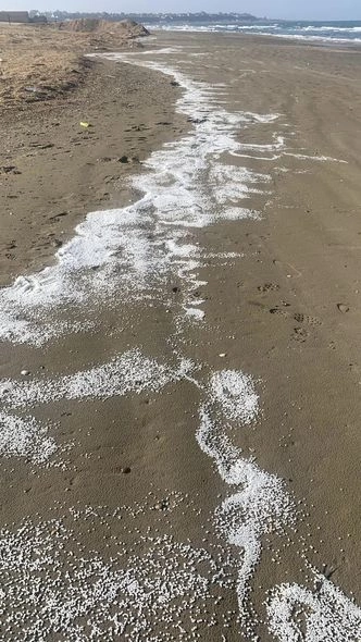 Xəzərin sahilinə plastik qranulları kim “səpələyib”? — YENİLƏNİB (FOTO)