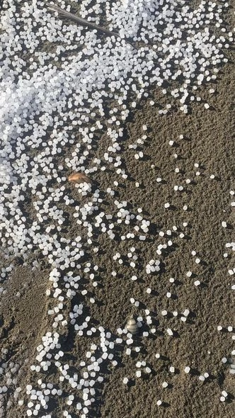 Xəzərin sahilinə plastik qranulları kim “səpələyib”? — YENİLƏNİB (FOTO)