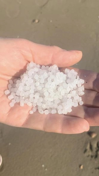 Xəzərin sahilinə plastik qranulları kim “səpələyib”? — YENİLƏNİB (FOTO)