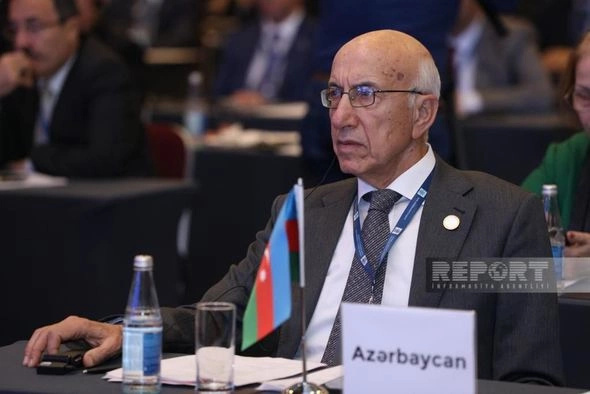 Bakıda “Təhlükəsizlik və əməkdaşlıq: siyasi partiyaların rolu” mövzusunda konfrans keçirilir — FOTO