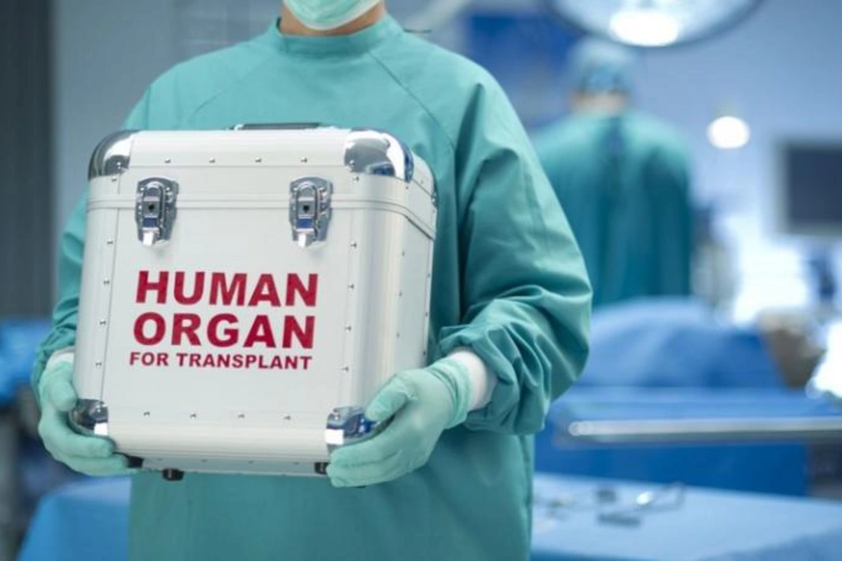 Deputatlar ölümdən sonra orqanlarını bağışlayacaqlar