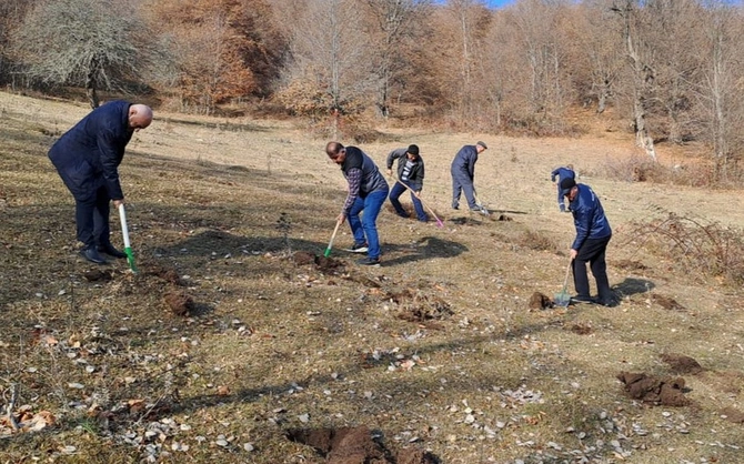 Bir sıra rayonlarda meşəbərpa işləri aparılıb — FOTO Bir sıra rayonlarda meşəbərpa işləri aparılıb — FOTO