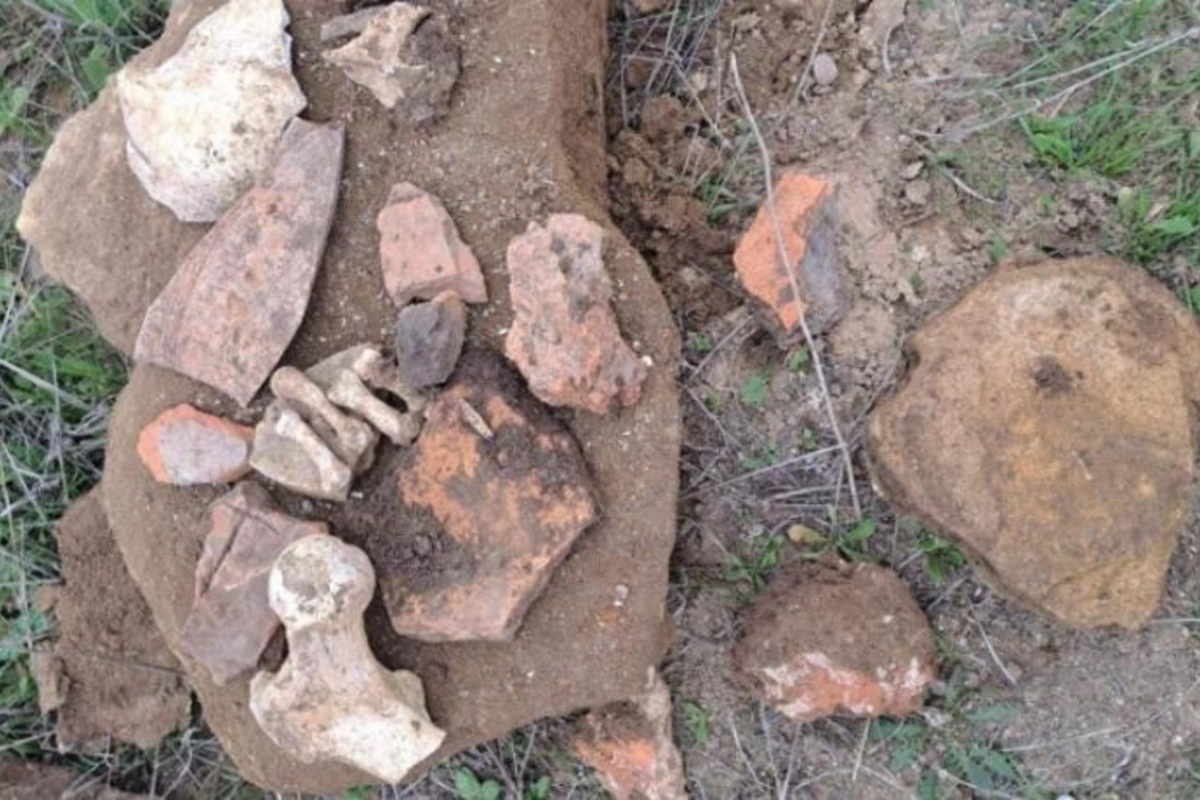 Cəlilabadda qədim dövrə aid yaşayış məskəni, insan kəlləsi tapılıb — FOTO