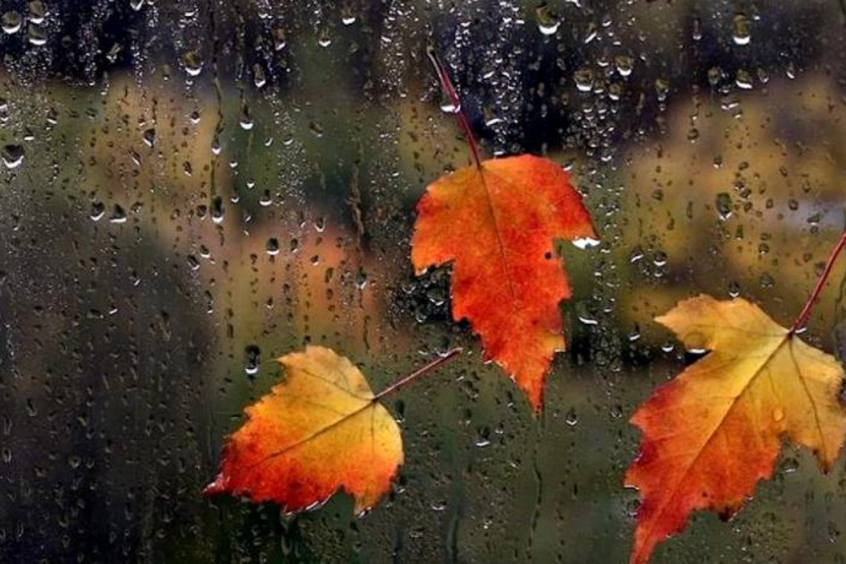 Hava ilə bağlı XƏBƏRDARLIQ: sabah da...