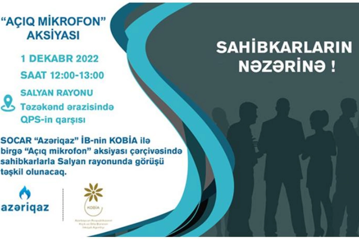 Sahibkarlarla növbəti görüş Salyanda keçiriləcək