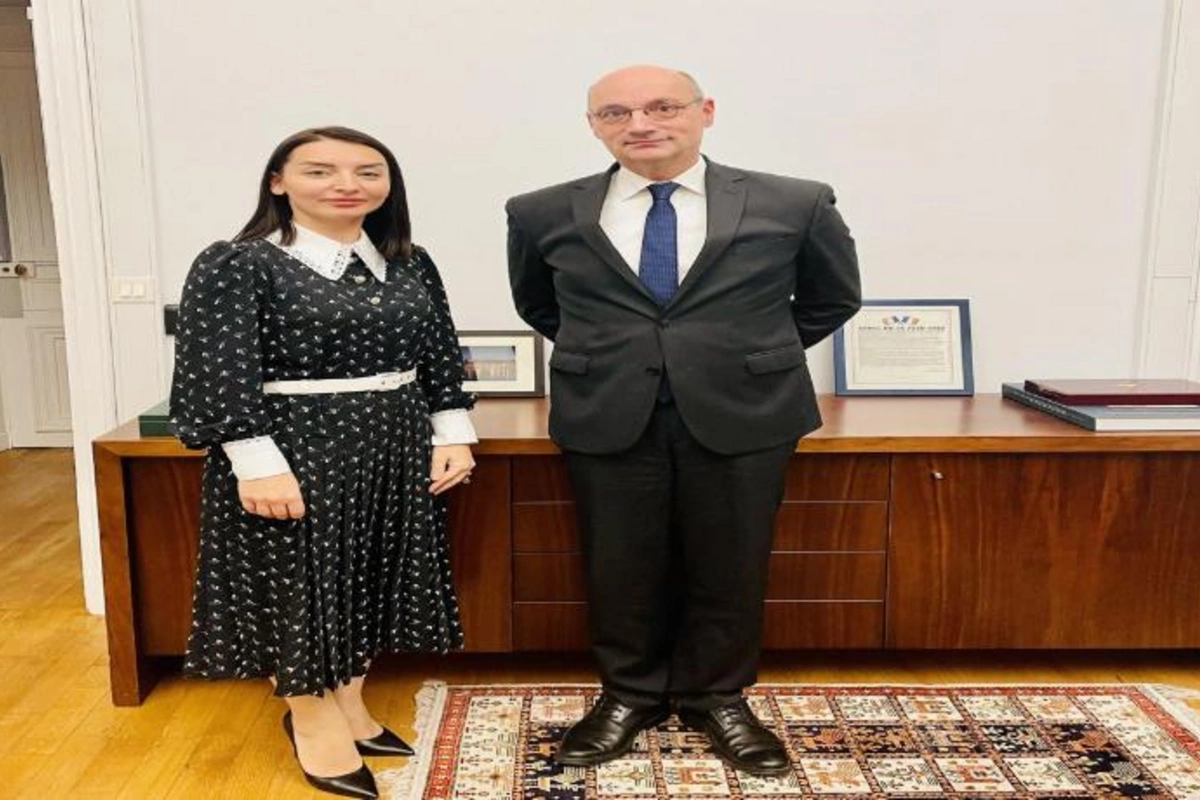 Leyla Abdullayeva Fransa XİN-in departament direktoru ilə görüşüb