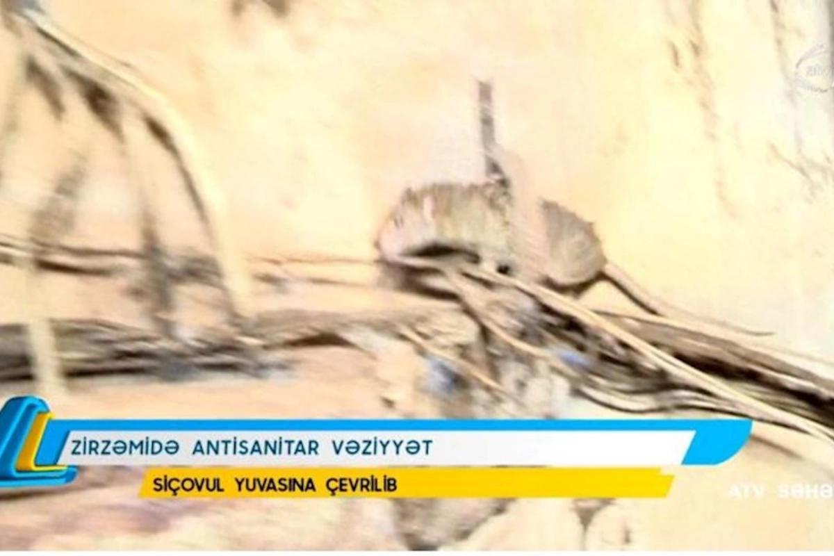Zirzəmisi siçovul yuvasına çevrilən və sakinlərin üfunət qoxusunda yaşadıqları bina — VİDEO
