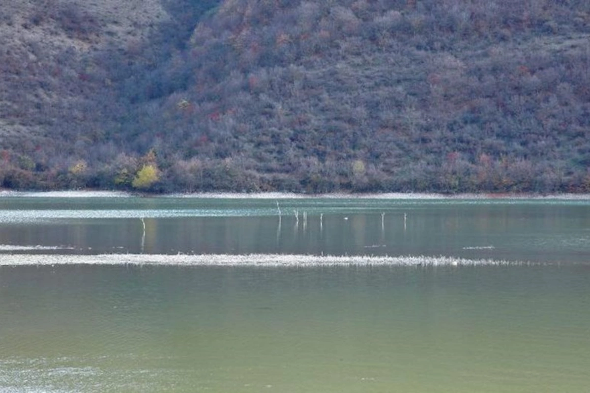 Ətraf mühitin və su hövzələrinin qorunmasına dair layihəyə yekun vurulub