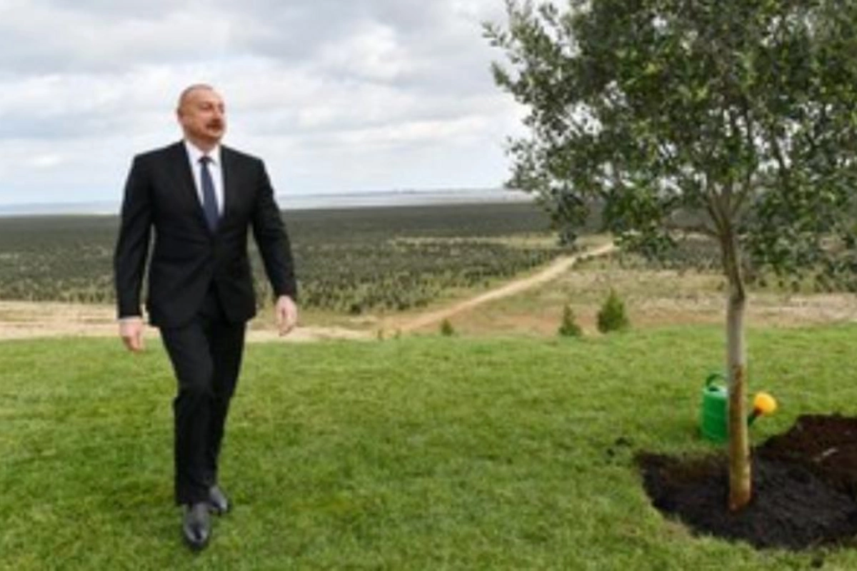 İlham Əliyev: Biz hər yerdə xariqələr yaradırıq