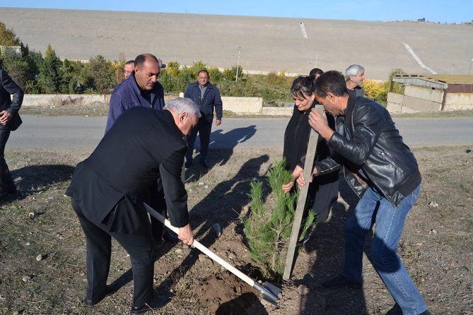 Füzulidə Zəfər Günü münasibətilə ağacəkmə aksiyası keçirilib — FOTOLAR Füzulidə Zəfər Günü münasibətilə ağacəkmə aksiyası keçirilib — FOTOLAR