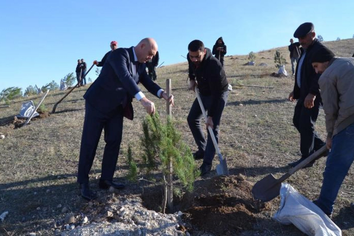 Füzulidə Zəfər Günü münasibətilə ağacəkmə aksiyası keçirilib — FOTOLAR
