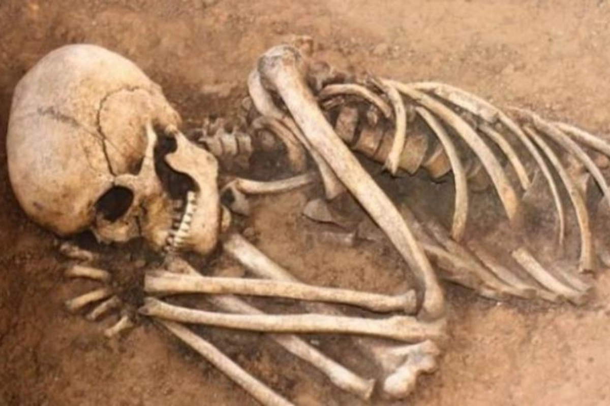 Şəkidə tarixi abidə ərazisində körpə skeletləri tapıldı