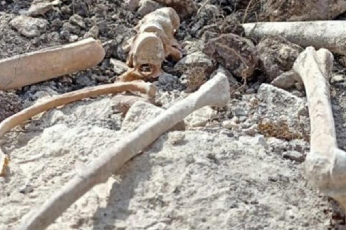 Cəbrayılda insan sümükləri TAPILDI