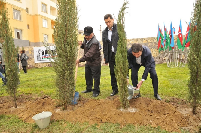 “8 Noyabr – Zəfər Günü” münasibəti ilə Abşeronda ağacəkmə aksiyası keçirilib — FOTOLAR