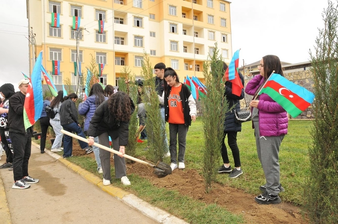 “8 Noyabr – Zəfər Günü” münasibəti ilə Abşeronda ağacəkmə aksiyası keçirilib — FOTOLAR