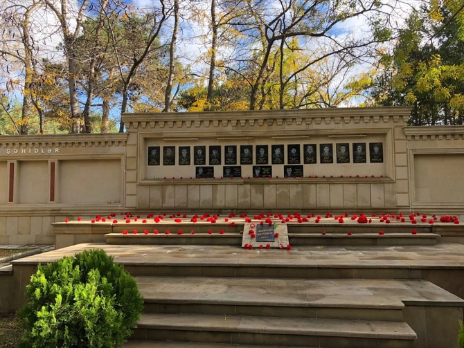 “8 Noyabr – Zəfər Günü” münasibəti ilə Abşeronda ağacəkmə aksiyası keçirilib — FOTOLAR