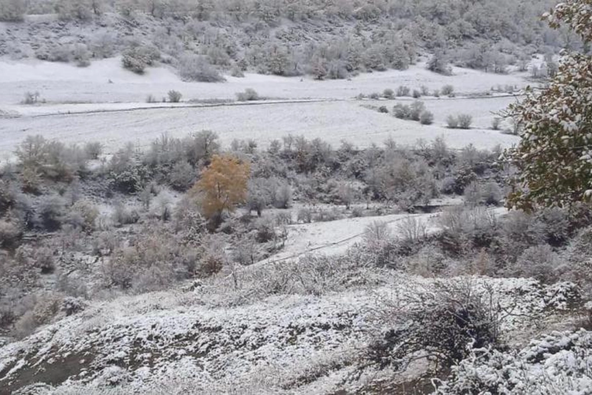 Milli Parklar qar örtüyünə büründü — FOTOLAR