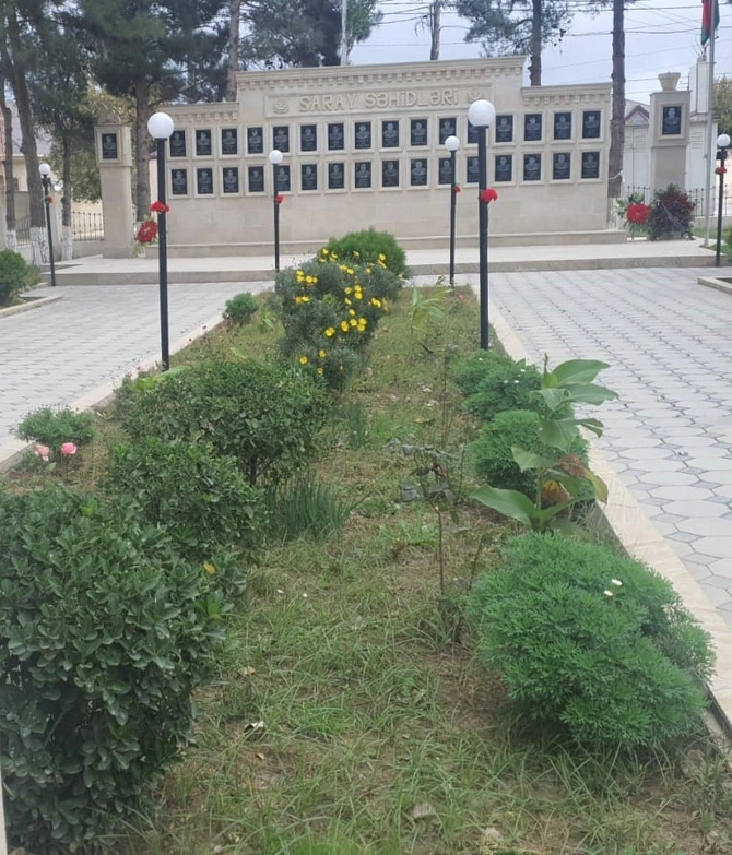 “8 Noyabr – Zəfər Günü” münasibəti ilə Abşeronda ağacəkmə aksiyası keçirilib — FOTOLAR