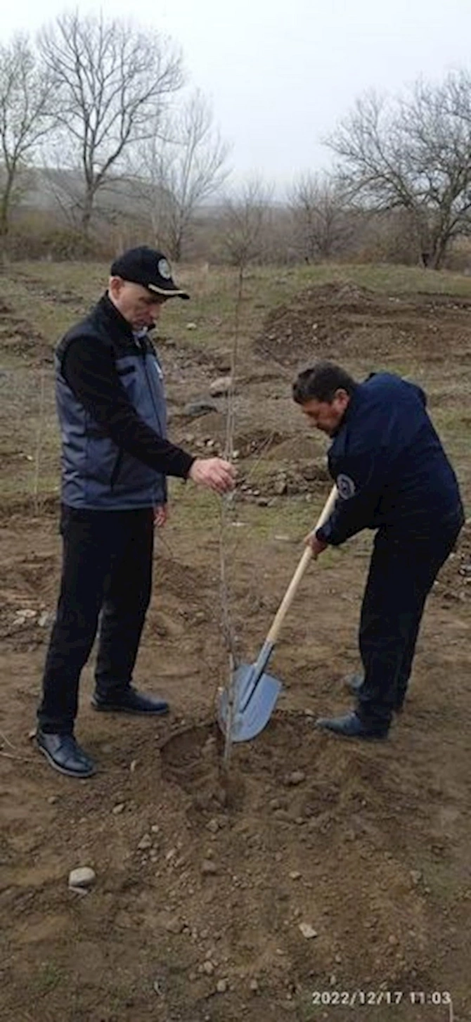 Zəngilanda ağacəkmə tədbiri keçirilib — FOTOLAR Zəngilanda ağacəkmə tədbiri keçirilib — FOTOLAR