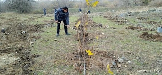 Zəngilanda ağacəkmə tədbiri keçirilib — FOTOLAR Zəngilanda ağacəkmə tədbiri keçirilib — FOTOLAR