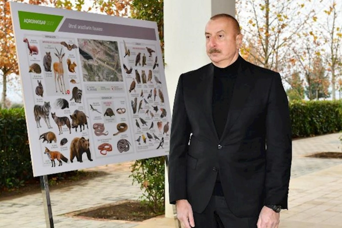 İlham Əliyev “Şəki-Oğuz” Aqroparkında yaradılan şəraitlə tanış olub — FOTOLAR