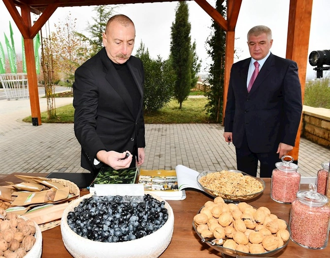 İlham Əliyev “Şəki-Oğuz” Aqroparkında yaradılan şəraitlə tanış olub — FOTOLAR
