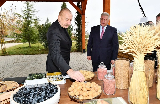 İlham Əliyev “Şəki-Oğuz” Aqroparkında yaradılan şəraitlə tanış olub — FOTOLAR