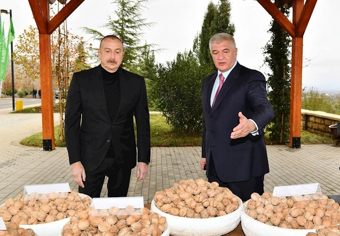 İlham Əliyev “Şəki-Oğuz” Aqroparkında yaradılan şəraitlə tanış olub — FOTOLAR