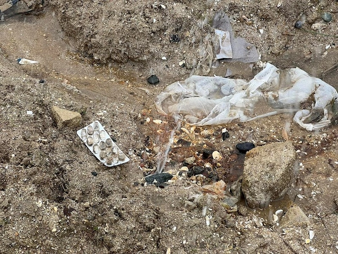 Pulunu yeyiblər, insanların da şikayət etmədiyi qurum qalmayıb— FOTOLAR