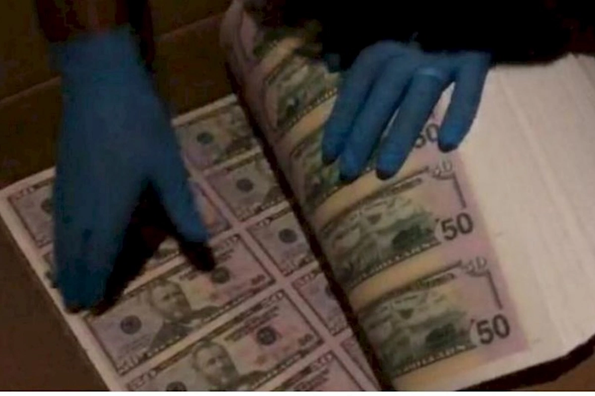Elmira Abdullayeva mafiya üçün 50 milyard saxta dollar daşıyıb