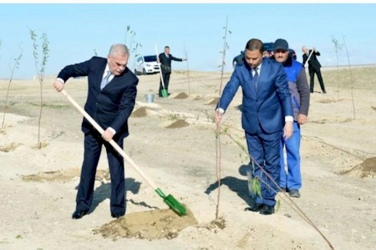 Dotasiyadan asılı Naxçıvan və mənimsənən milyonlar